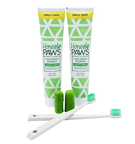 ''Honest Paws Natural DOG Dental Care Training Kit in Vanilla Ginger Flavor, Pack of 2 | Includes DOG