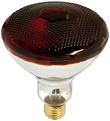 Satco Products S4751 175BR38/HR Medium Base Red Heat LAMP