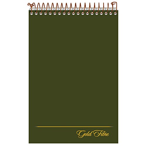 ''Ampad Gold Fibre Steno BOOK, 6'''' x 9'''', Gregg Rule, Green Cover, 100 Sheets (20-806R)''