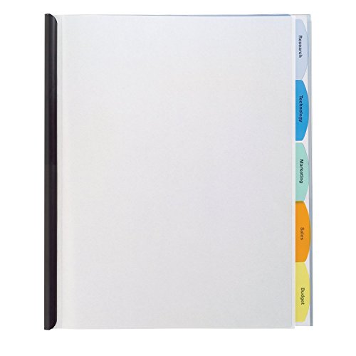 ''Wilson Jones Report Cover, View-Tabs, 5 Tabs, Punchless, 20 SHEETS, Clear (W55766)''
