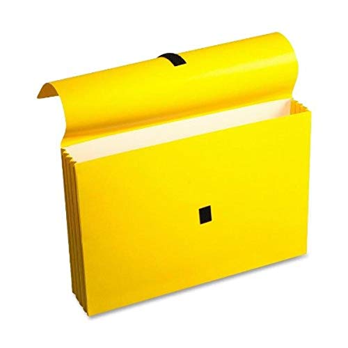''Wilson Jones ColorLife File WALLETs with Velcro Grippers, 3.5 Inch Expansion, 10 x 15 Inches, Yello