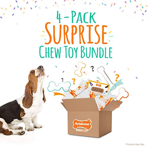Nylabone Chew TOY Dog Surprise Box Variety Medium/Wolf (1 Count)
