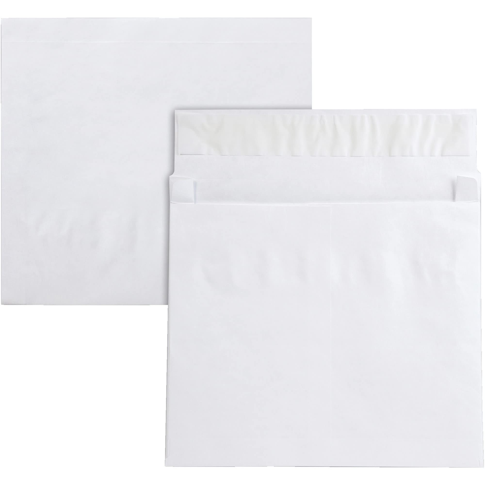 ''QualityPark Tyvek Open Side ENVELOPE, 10 x 13 x 2 Inches (Pack of 25) (R4611)''