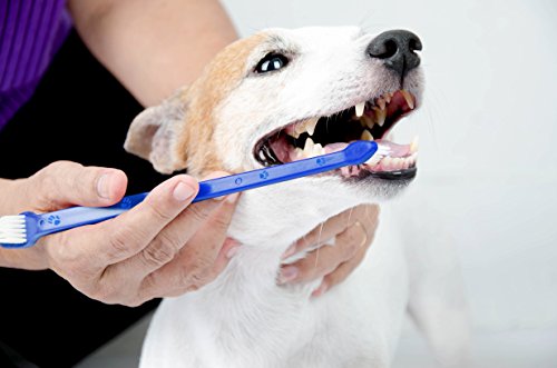 Two-piece DOG Toothbrush Set: Double Sided Canine Dental Hygiene Brushes with Long 8 1/2 Inch Handle